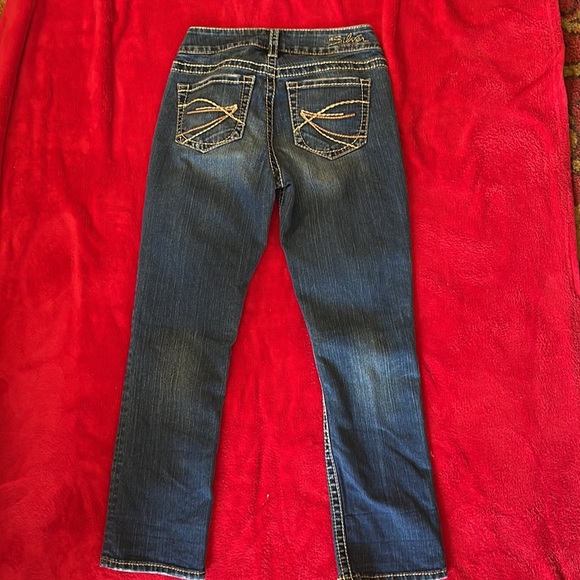 Pair of Silver capris. Size 27 - Picture 4 of 5